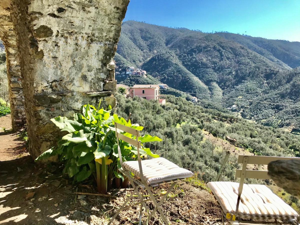 Agriturismo Sancristoforo Villa Levanto Exterior photo